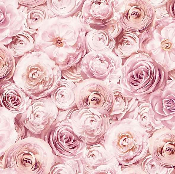 TWP-119